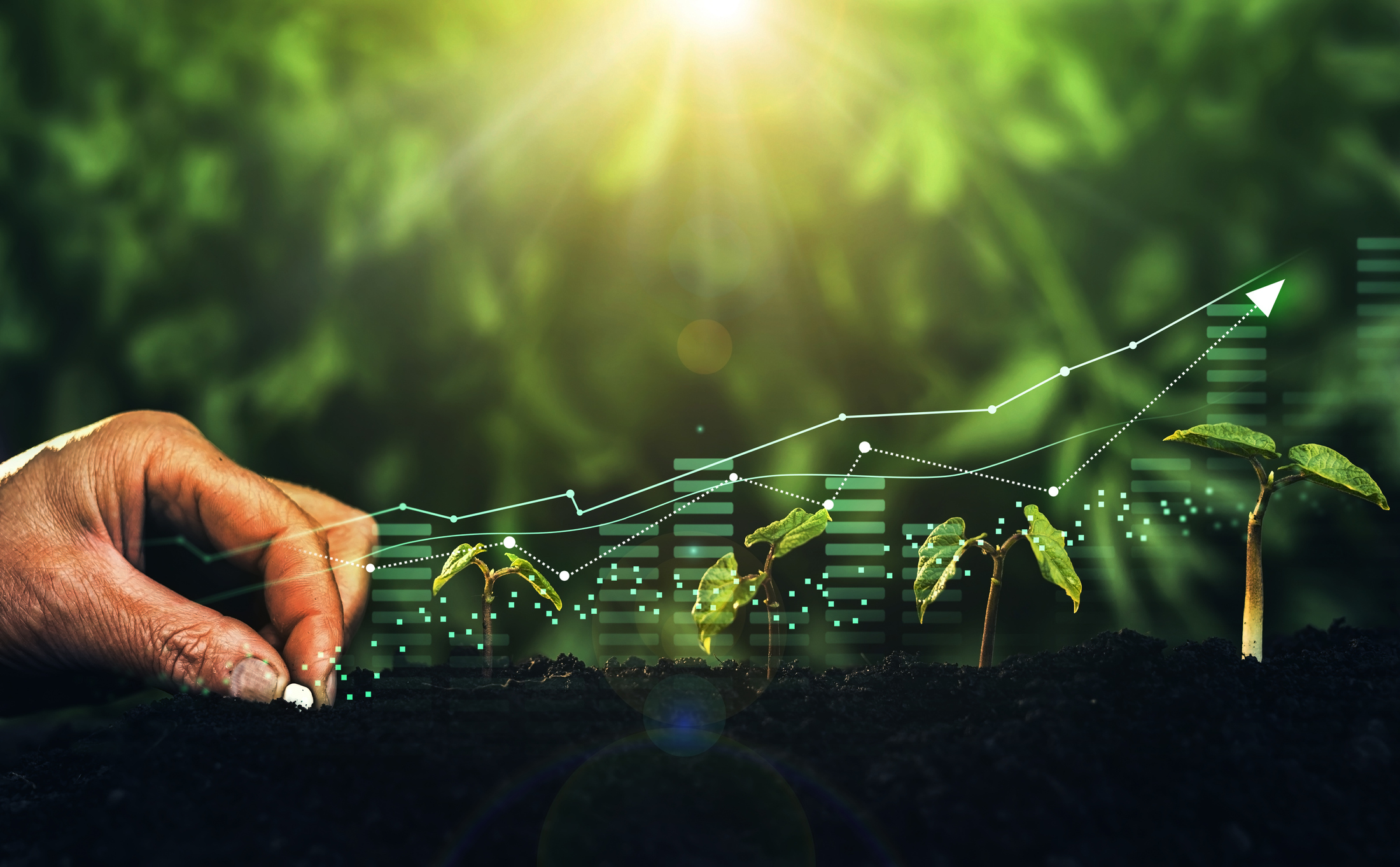 Sustainable Future