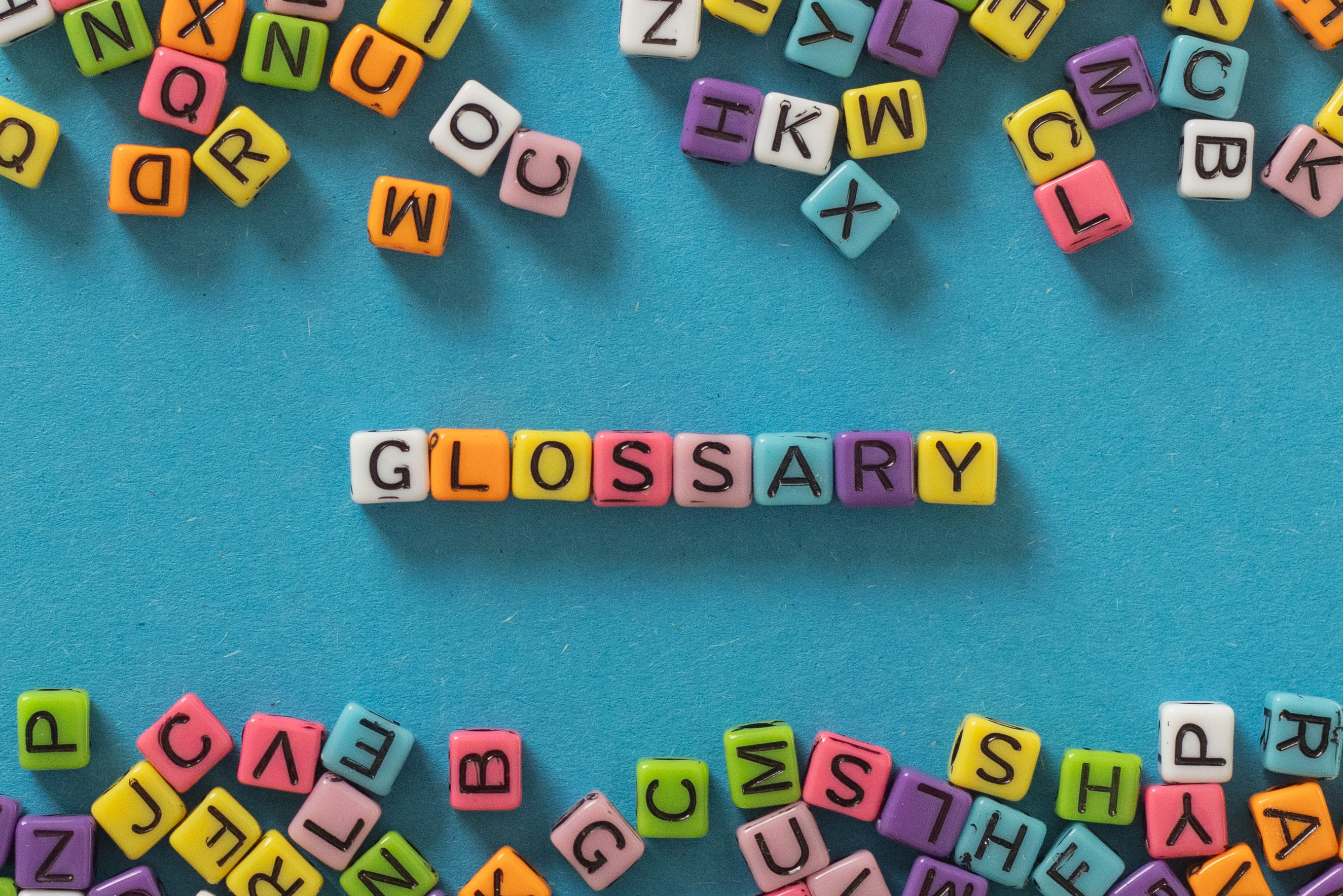 Glossary of Terms