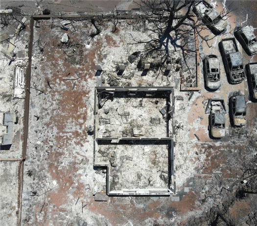 Maui Wildfire Report