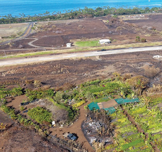 aerial imagery of destruction of habitat in Hawaii