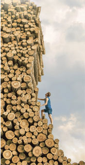 A man climbing logs