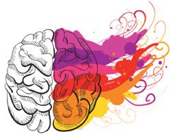 Illustration of a brain