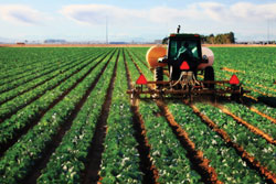 What Is Agricultural Engineering In Agriculture