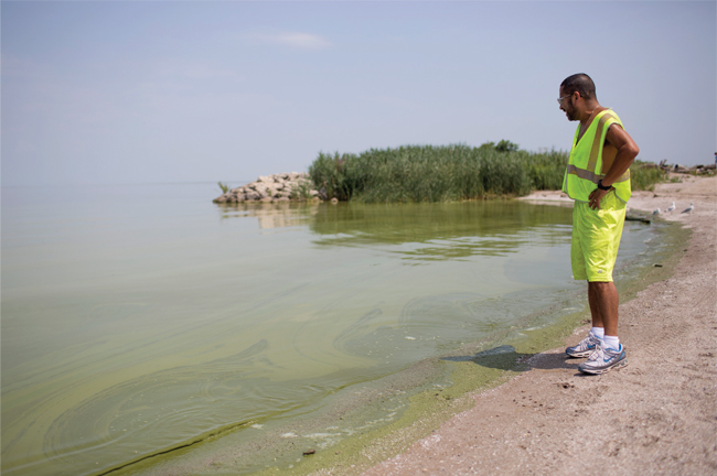 HORACIO ROMERO OF TOLEDO, OHIO, LOOKS AT ALGAE IN LAKE ERIE