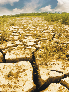 Dealing with Drought