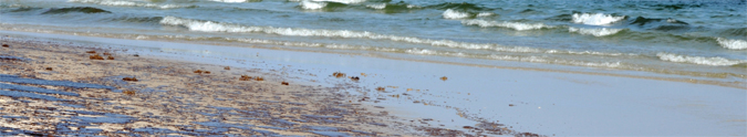 Deepwater Horizon blowout disaster