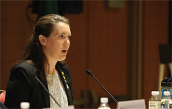 KODI VERHALEN, P.E., ESQ., F.NSPE