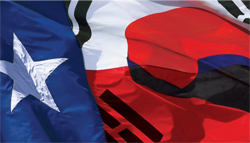 Texas flag