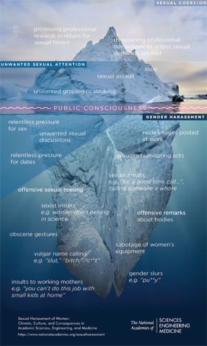 NATIONAL ACADEMIES IMAGE OF THE ICEBERG OF SEXUAL HARASSMENT
