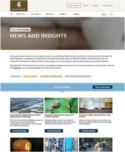 News and Insights