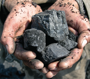 Coal