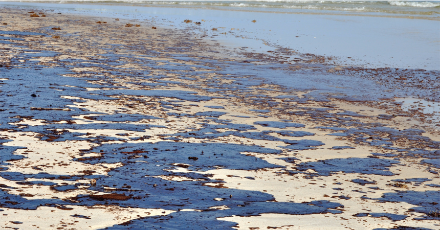  Deepwater Horizon disaster in 2010