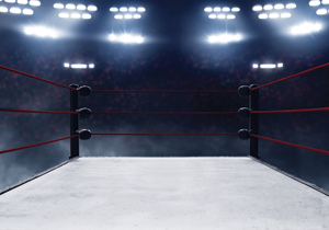 Boxing ring