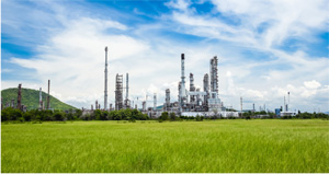 Petroleum plant