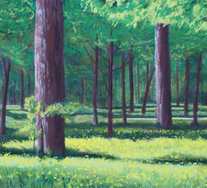 BETWEEN – PARCO CASINE, FIRENZE, ITALIA (PASTEL) BY WENDY CRONE