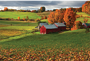 farm scene