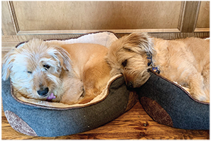 TRICIA HATLEY’S “CO-WORKERS”